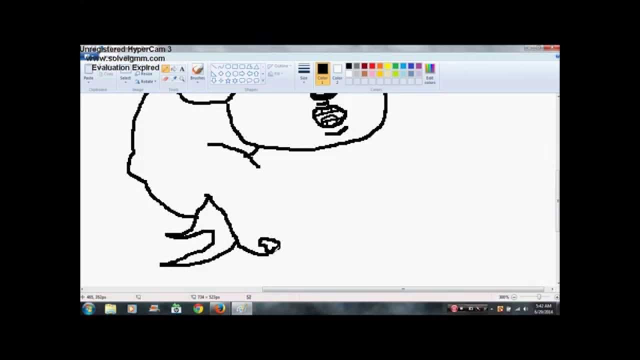 Bartleby & Sonic... Fireflies...